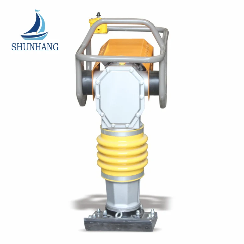 Tamping Rammer Electric Motor